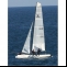 Catamaran Hobie Tiger Picture 5 