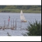 Jolle  Piratenjolle Bild 5 
