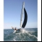 Katamaran Hobie Tiger Bild 3 