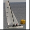 Katamaran Hobie Tiger Bild 8 