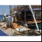 Yacht  Spitzgatt-Kutter Picture 3 