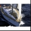 Yacht Bavaria 46 Kroatien Mittelmeer Details